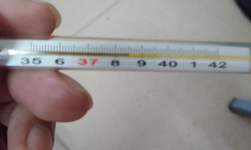 婴儿发烧怎么办最快退烧最有效-婴儿发烧脑袋特别热网 :分享婴儿发烧反反复复退了又烧是怎么回事-婴儿发烧怎么处理知识